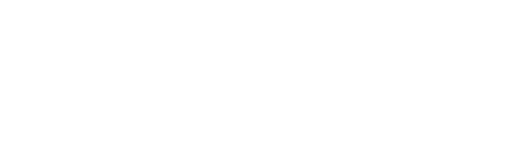 AMIES